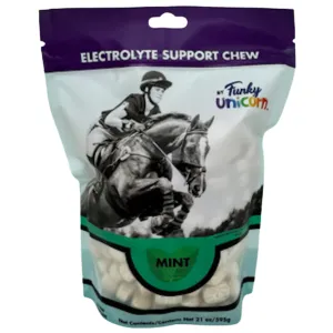 Funky Unicorn Electrolyte Cubes - Mint - Trainers Pack