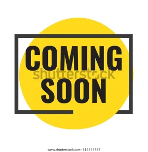Genuine Volvo V40 Rubber Mats (Automatic)