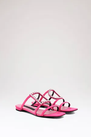 Pink Hoya Flat